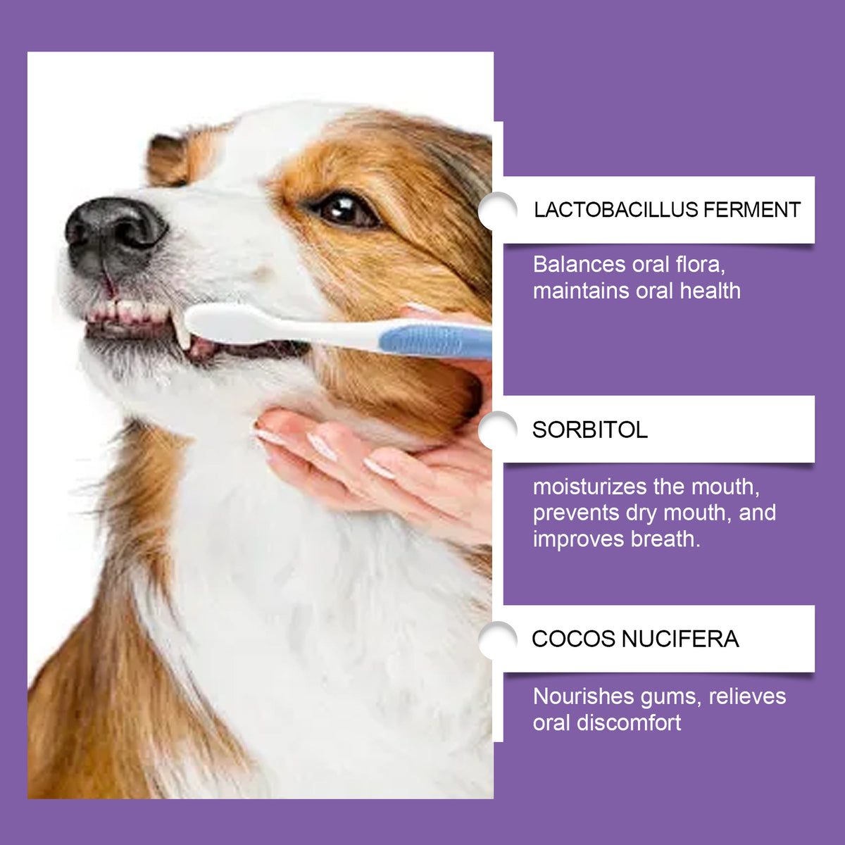 Pet Probiotic Toothpaste for sorbitol