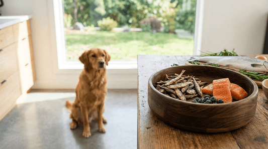 Healthy Dog Treats Nanaimo
